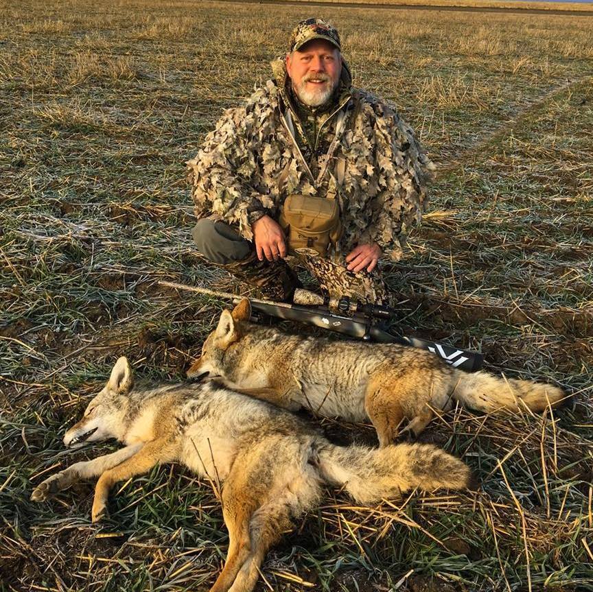 Coyote Hunt