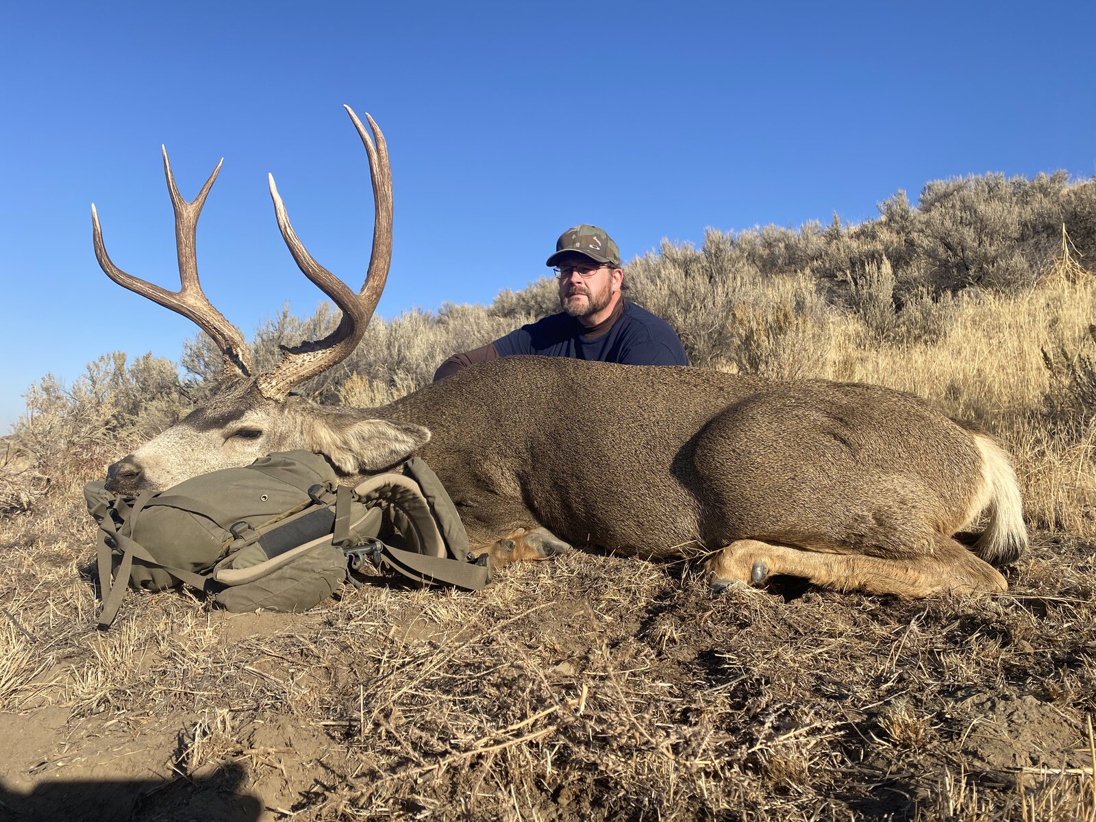 HRO Trophy Mule Deer Hunt