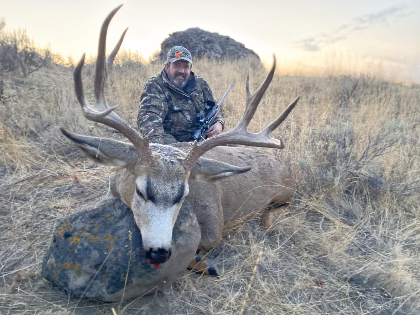 HRO Trophy Mule Deer